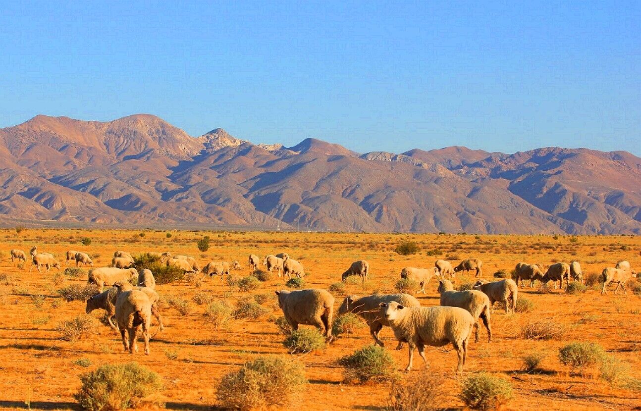 2.4 Acres Ranch-Farm Boron, CA KERN COUNTY